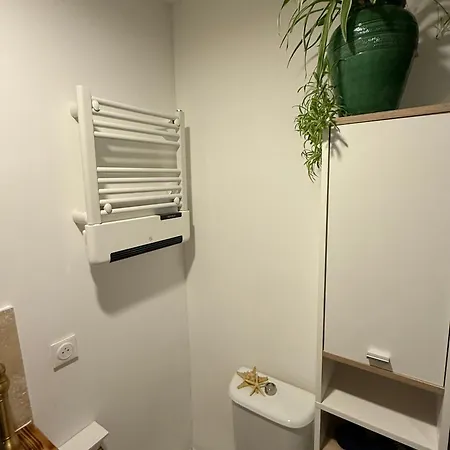 Apartamento Cesar - Antique 2-3 Pers, Parking Prive,proche Centre Et Gare Obernai