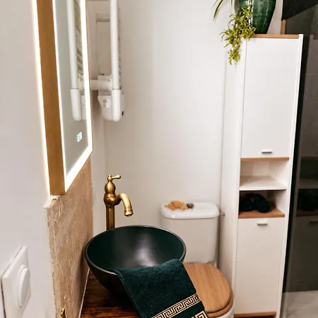 Apartment Cesar - Antique 2-3 Pers, Parking Prive,proche Centre Et Gare Obernai